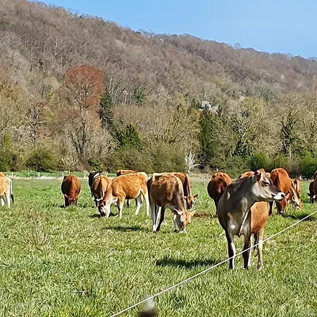 بيت للعطل Maison Normande Coeur De بونت أودوميه
